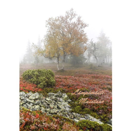 31. Tunturiruska