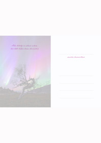 41. Revontulet tunturissa