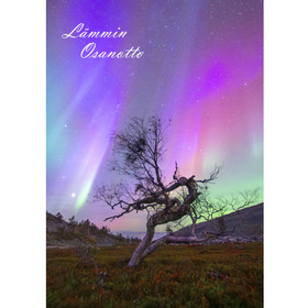 41. Revontulet tunturissa