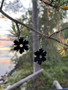 Yökukka-korvakorut