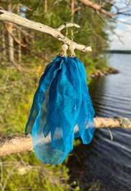 Merihuntu-korvakorut