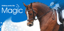 NAF Magic - rauhoittamaan hevosta