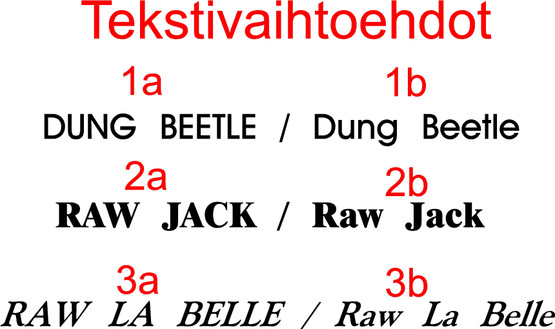 RW Classic: Nahkainen STD valmennussilakompletti