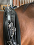 TWisted3D: Leather QH-Race Harness Complete