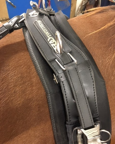 TWisted3D Synthetic QH -Hybrid Harness Complete