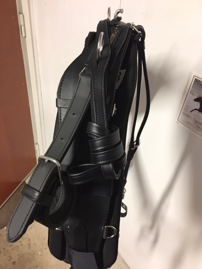 TWisted3D: Leather Conventional Training Harness Complete