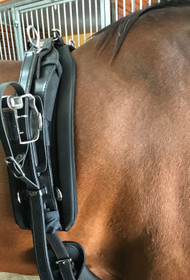 TWisted3D: Kilpasila QH nahkainen 6cm rungolla