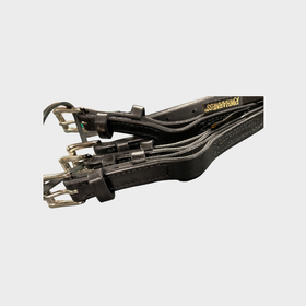 Aisanremmit STD-silaan / PARI