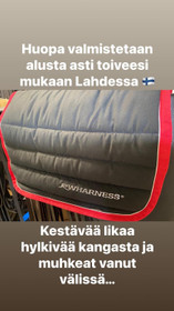 Satulahuopa RW Harness