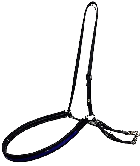 TWisted3D Synthetic QH -RACELIGHT Harness Complete