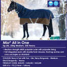 Amigo Mio All-In-One