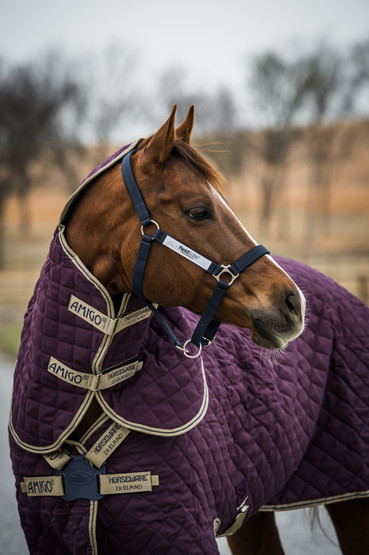 Amigo Stable Rug Plus 200g