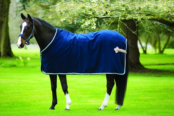 Rambo Show Rug