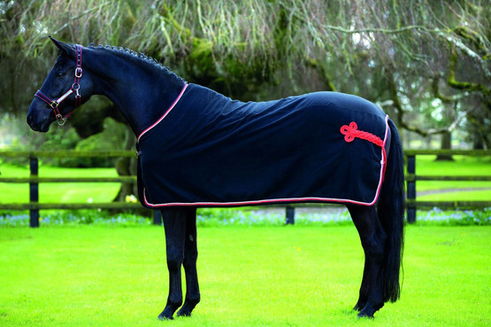 Rambo Show Rug