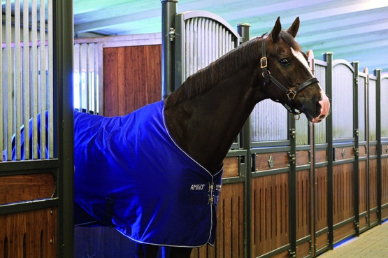 Amigo Stable Sheet