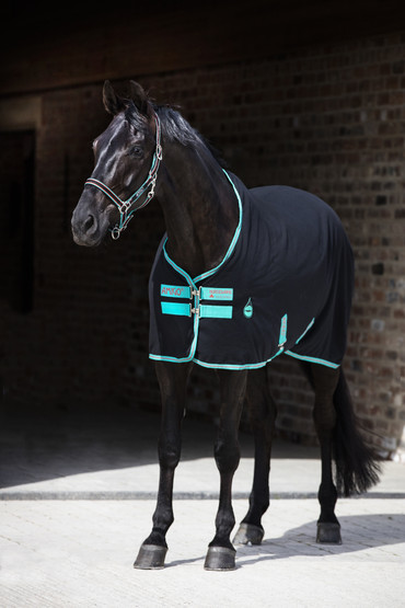 Amigo Stable Sheet