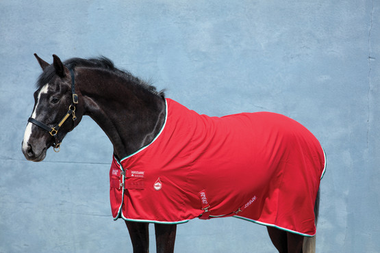 Amigo Stable Sheet