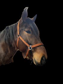 HKM Turvariimu Breakaway