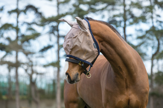 Amigo Fly Mask ötökkänaamari