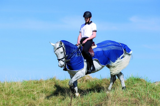 Amigo Flyrider