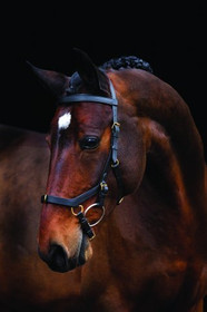 Rambo Micklem Multibridle