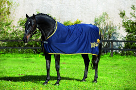 Rambo Fashion Cooler