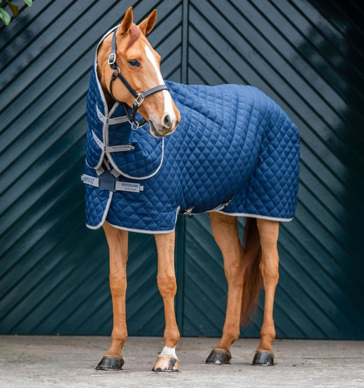 Amigo Stable Rug Plus 200g