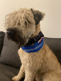 RW HARNESS Tuubihuivi TWisted3D -logoin