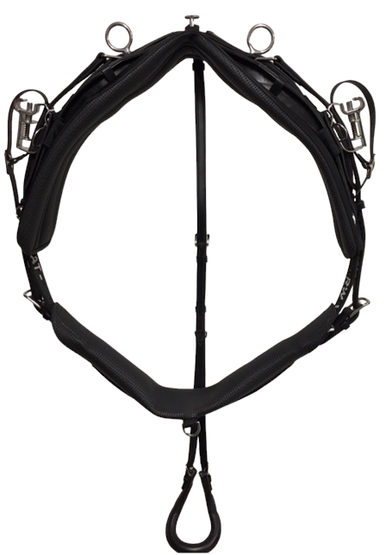TWisted3D: Race harness QUICK HITCH leather 6cm