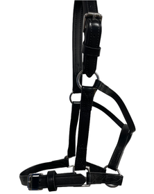 Synteettinen BioThane raviriimu