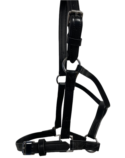 RW Synthetic Trotting Halter