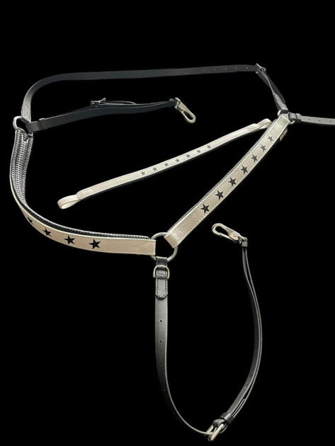 Martingale anglaise avec collier en cuir spécial Winner