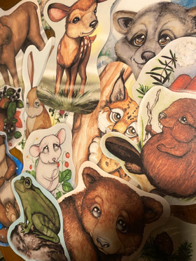 LORUJA ELÄINLAPSISTA - VAHVUUDET-PAKKAUS