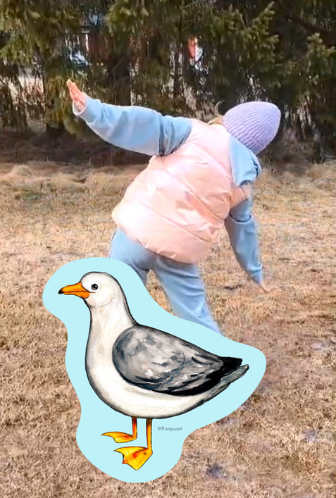LINTULORUT - JUMPPAAN JA LORUTTELUUN