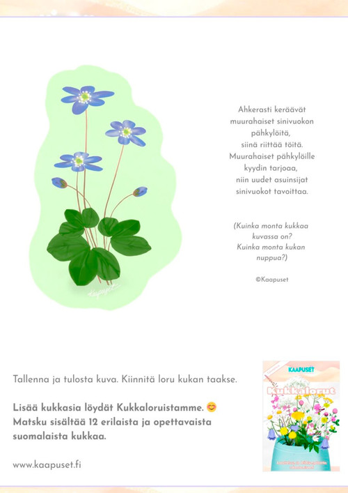 POIMI MUKAASI (ILMAINEN)