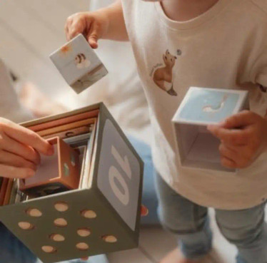 Little Dutch Forest Friends Pinottavat Palikat FSC