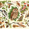 House of Puzzles Woodland Birds BIG palapeli 500 xxl palaa