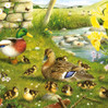 House of Puzzles Ducks to Water BIG palapeli 500 palaa