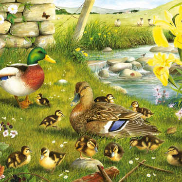 House of Puzzles Ducks to Water BIG palapeli 500 palaa
