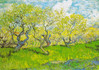 Enjoy, Vincent van Gogh, Orchard in Blossom palapeli 1000 palaa