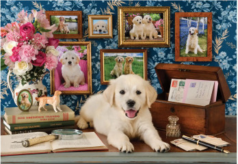 Anatolian Labrador palapeli 500 palaa