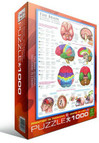 Eurographics The Brain palapeli 1000 palaa