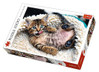 Trefl Cheerful Kitten palapeli 1000 palaa