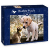 Bluebirds Kitten and Puppy palapeli 500 palaa