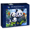 Bluebird Panda Family -palapeli 100 palaa