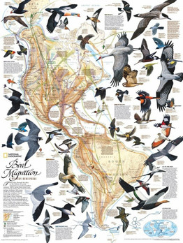 New York Puzzle Company Bird Migration palapeli 1000 palaa