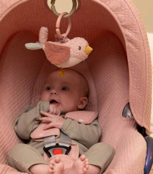 Little Dutch Flowers & Butterflies Tärinälelu Lintu 