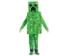 Rooliasu Minecraft Creeper Fancy Dress