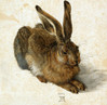 Grafika Albrecht Dürer - The Rabbit palapeli 1000 palaa