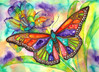 Nova Puzzle Colorful Butterfly palapeli 1000 palaa